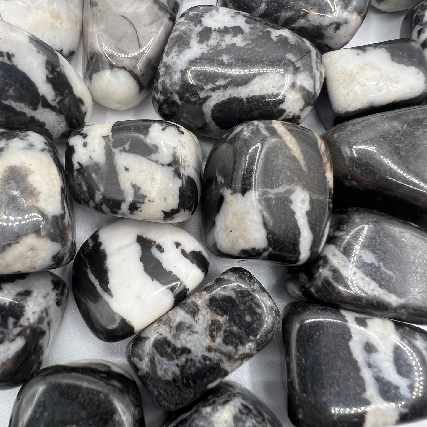 Zebra Jasper