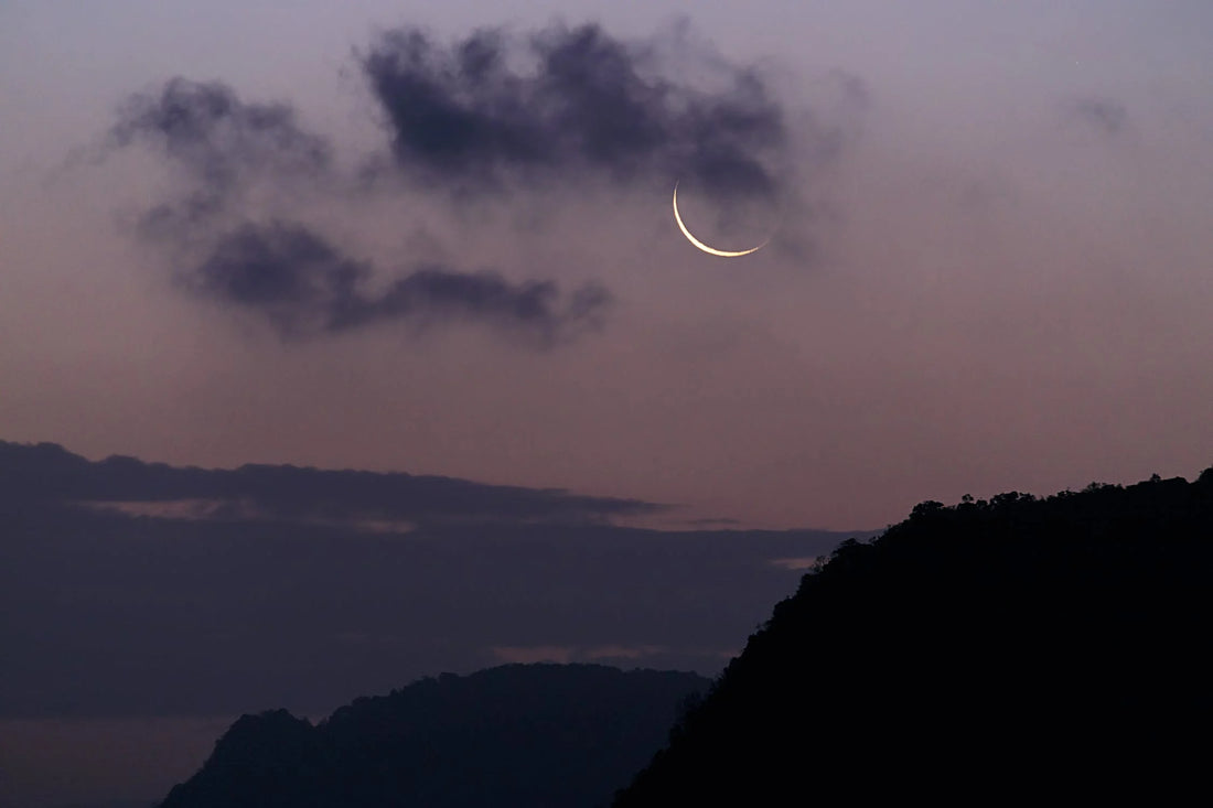 Embracing Emotional Renewal: Nurturing the Energy of the New Moon in Cancer